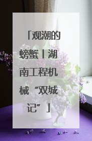 观潮的螃蟹丨湖南工程机械“双城记”