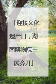 迎接文化遗产日，湖南博物院三展齐开