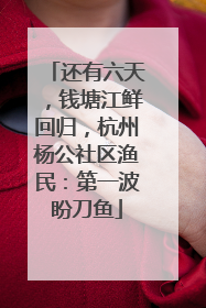 还有六天，钱塘江鲜回归，杭州杨公社区渔民：第一波盼刀鱼
