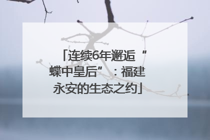 连续6年邂逅“蝶中皇后”：福建永安的生态之约