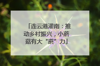 连云港灌南：推动乡村振兴，小蘑菇有大“蘑”力