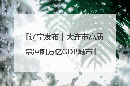 辽宁发布｜大连市高质量冲刺万亿GDP城市