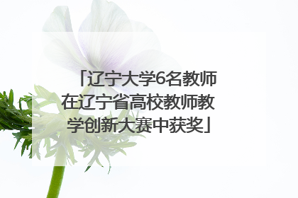 辽宁大学6名教师在辽宁省高校教师教学创新大赛中获奖