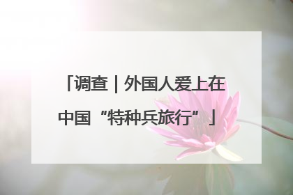 调查｜外国人爱上在中国“特种兵旅行”