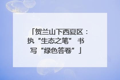 贺兰山下西夏区：执“生态之笔” 书写“绿色答卷”