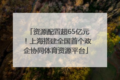 资源配置超65亿元！上海搭建全国首个政企协同体育资源平台