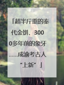 超半斤重的秦代金饼、3000多年前的象牙……成渝考古人“上新”