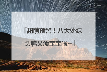 超萌预警！八大处绿头鸭又添宝宝啦~