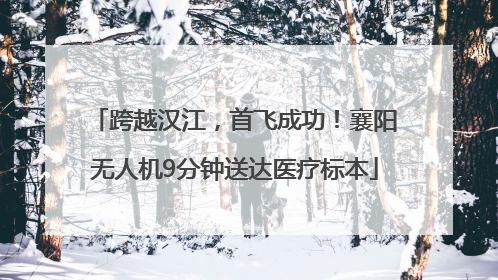 跨越汉江，首飞成功！襄阳无人机9分钟送达医疗标本