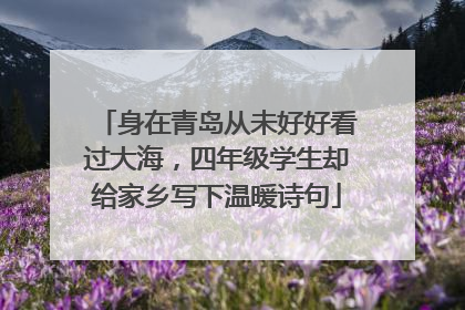 身在青岛从未好好看过大海，四年级学生却给家乡写下温暖诗句