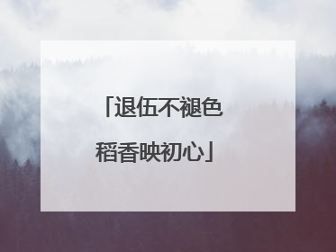 退伍不褪色 稻香映初心