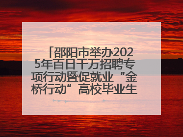 邵阳市举办2025年百日千万招聘专项行动暨促就业“金桥行动”高校毕业生专场招聘会