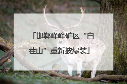 邯郸峰峰矿区“白茬山”重新披绿装