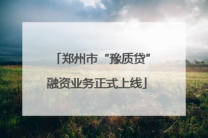 郑州市“豫质贷”融资业务正式上线