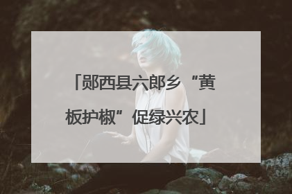 郧西县六郎乡“黄板护椒”促绿兴农