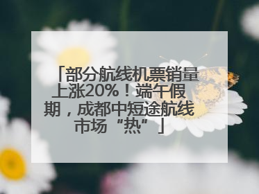 部分航线机票销量上涨20%！端午假期，成都中短途航线市场“热”