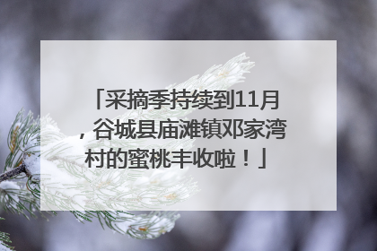 采摘季持续到11月，谷城县庙滩镇邓家湾村的蜜桃丰收啦！