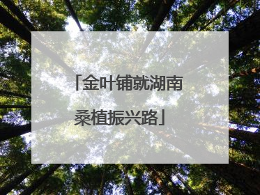 金叶铺就湖南桑植振兴路