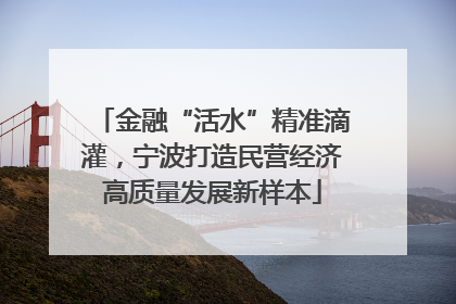 金融“活水”精准滴灌，宁波打造民营经济高质量发展新样本