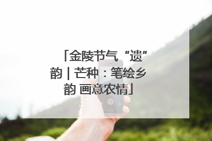金陵节气“遗”韵｜芒种：笔绘乡韵 画意农情