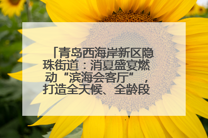青岛西海岸新区隐珠街道：消夏盛宴燃动“滨海会客厅”，打造全天候、全龄段消费生态圈