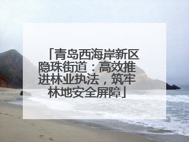 青岛西海岸新区隐珠街道：高效推进林业执法，筑牢林地安全屏障