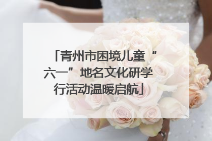 青州市困境儿童“六一”地名文化研学行活动温暖启航