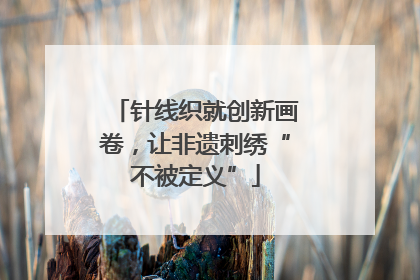 针线织就创新画卷，让非遗刺绣“不被定义”