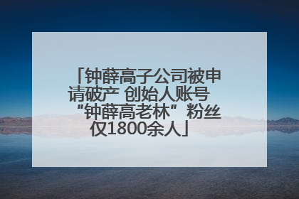钟薛高子公司被申请破产 创始人账号“钟薛高老林”粉丝仅1800余人