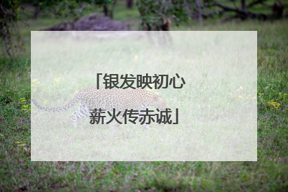 银发映初心 薪火传赤诚