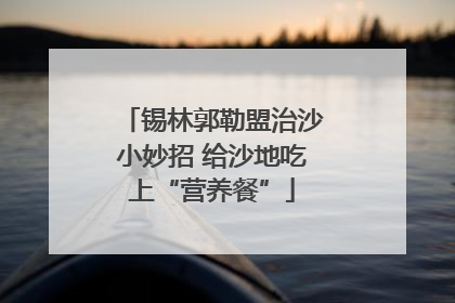 锡林郭勒盟治沙小妙招 给沙地吃上“营养餐”