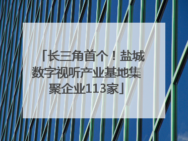 长三角首个！盐城数字视听产业基地集聚企业113家
