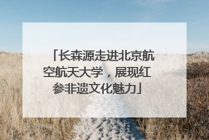 长森源走进北京航空航天大学，展现红参非遗文化魅力