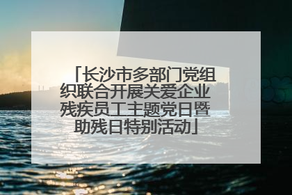 长沙市多部门党组织联合开展关爱企业残疾员工主题党日暨助残日特别活动