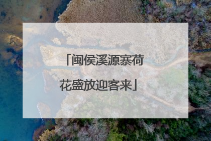 闽侯溪源寨荷花盛放迎客来
