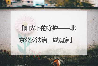 阳光下的守护——北京公安法治一线观察