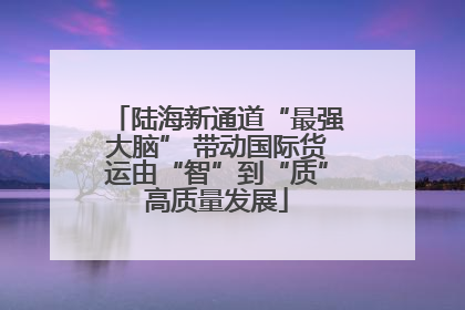 陆海新通道“最强大脑” 带动国际货运由“智”到“质”高质量发展