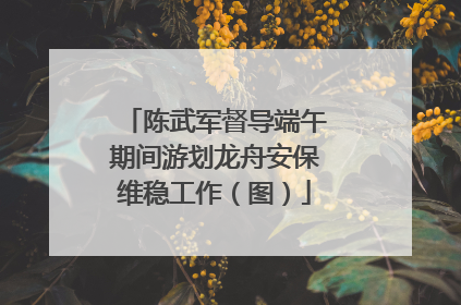 陈武军督导端午期间游划龙舟安保维稳工作（图）