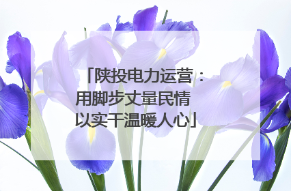 陕投电力运营：用脚步丈量民情 以实干温暖人心