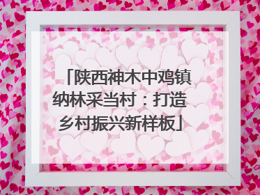 陕西神木中鸡镇纳林采当村：打造乡村振兴新样板