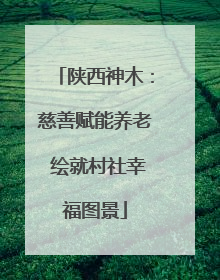 陕西神木：慈善赋能养老 绘就村社幸福图景