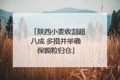 陕西小麦收割超八成 多措并举确保颗粒归仓
