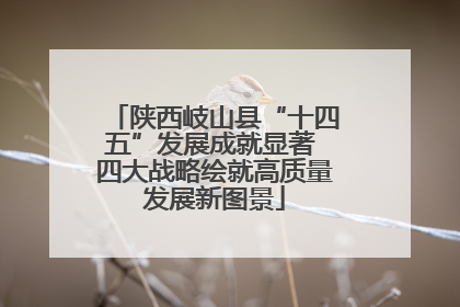 陕西岐山县“十四五”发展成就显著 四大战略绘就高质量发展新图景