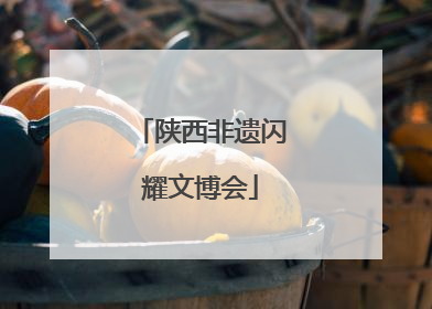 陕西非遗闪耀文博会