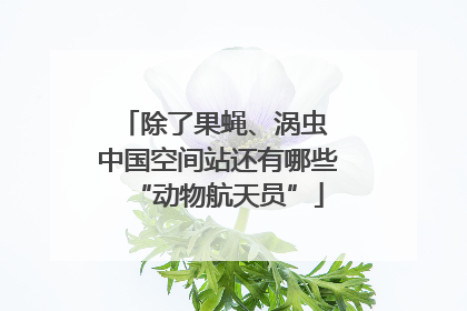 除了果蝇、涡虫 中国空间站还有哪些“动物航天员”