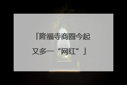 隆福寺商圈今起又多一“网红”