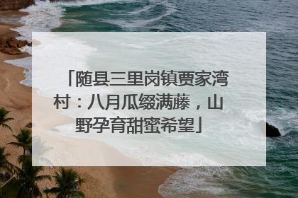 随县三里岗镇贾家湾村：八月瓜缀满藤，山野孕育甜蜜希望