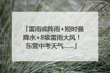 雷雨或阵雨+短时强降水+8级雷雨大风！东营中考天气……