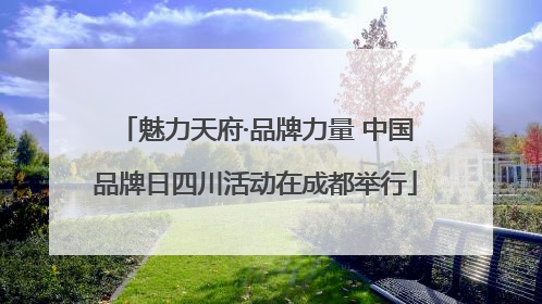 魅力天府·品牌力量 中国品牌日四川活动在成都举行