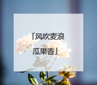 风吹麦浪 瓜果香
